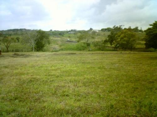 VENDO *HERMOSOS LOTES CAMPESTRES* $55,000 MN. COL. LAS CARPAS TLAQUILTENANGO ¡¡LLAME!! P/+INF.