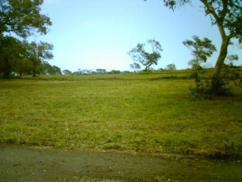 VENDO *HERMOSOS LOTES CAMPESTRES* EN TLAQUILTENANGO COL. LAS CARPAS ¡¡LLAME YA!!