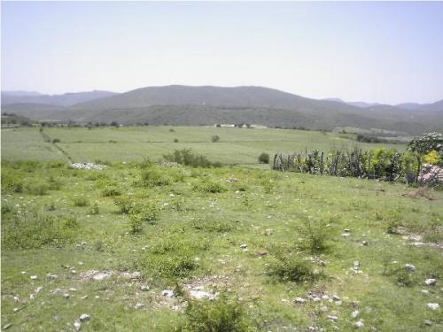 GRANDIOSA VENTA DE *HERMOSAS LOTES CAMPESTRES*