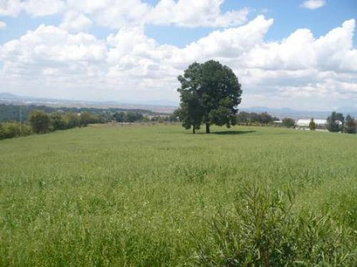 HERMOSO TERRENO A 20 MINUTOS DEL D.F.