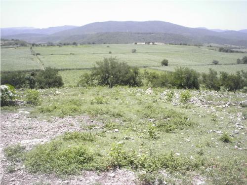 VENDO PARCELA EN TLAQUILTENANGO CAMPO LAGUNILLAS