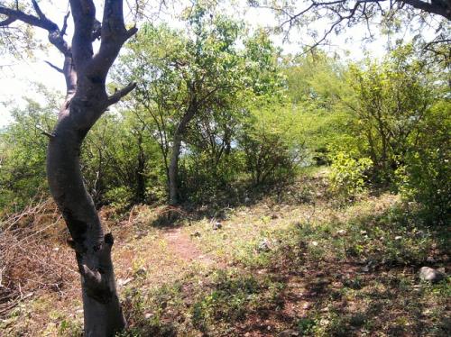 VENDO TERRENO ¡¡BARATO!! $60,000 MN. COL. EMILIANO ZAPATA TLAQUILTENANGO