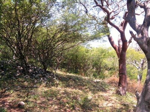 ¡¡APROVECHEN!! REMATAMOS TERRENO ¡¡BARATO!! $60,000 MN. EMILIANO ZAPATA TLAQUILTENANGO