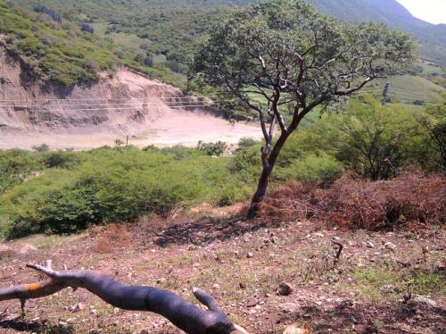 ¡¡APROVECHEN!! REMATAMOS TERRENO ¡¡BARATO!! $60,000 MN. EMILIANO ZAPATA TLAQUILTENANGO