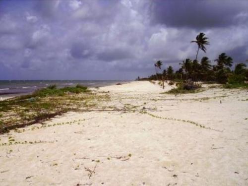 TERRENO A ORILLA DE LA PLAYA EN MAHAHUAL, QUINTANA ROO