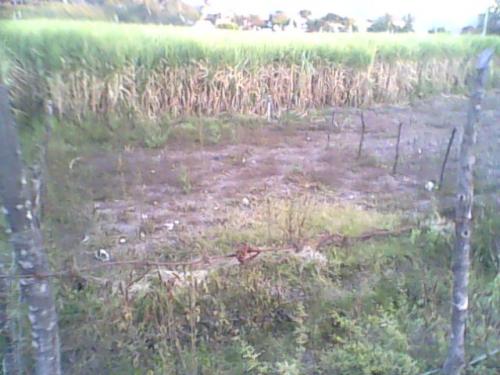 REMATO TERRENO ¡¡BARATO!! $80,000 MN. EN CHACAMPALCO