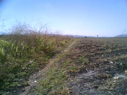 VENDO TERRENO EN $140,000 MN. COL. MIGUEL HIDALGO ¡¡LLAME P/+INF. Ó CITAS!!