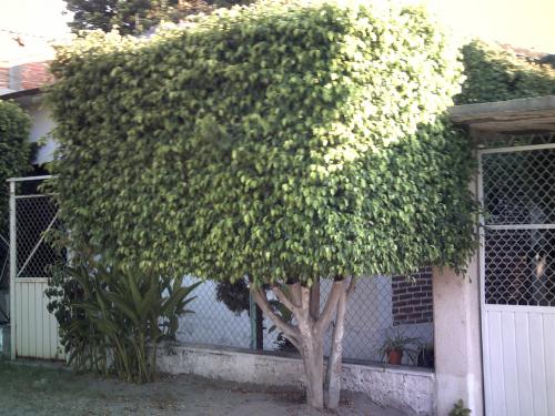 VENDO HERMOSA CASA EN GALEANA, ZACATEPEC, MOR