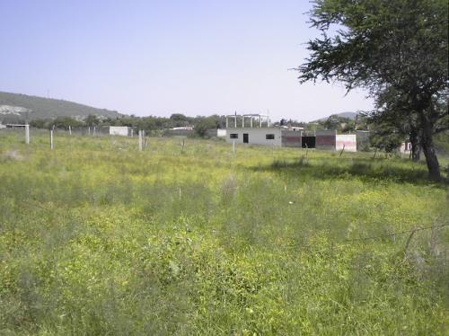 VENDO PRECIOSO TERRENO EN GALEANA, ZACATEPEC, MOR