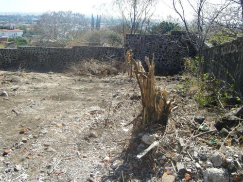 FRACCIONAMIENTO EN DESARROLLO