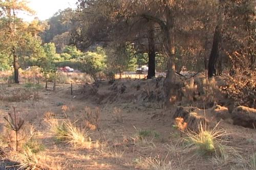 REMATO BONITO TERRENO PARA CABAÑA