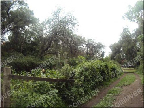 COINMVER VENDE AMPLIO TERRENO EN COL TEPEPAN