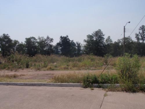 ATLAS CLUB DE GOLF CAMPESTRE 