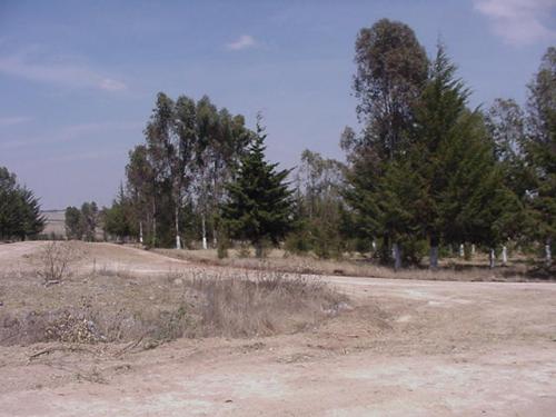 Terreno uso de suelo habitacional