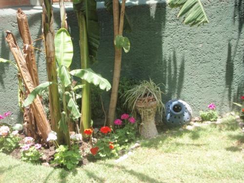 COINMVER VENDE PRECIOSO DEPARTAMENTO CON JARDIN EN COL LAS AGUILAS