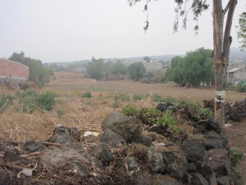 COINMVER VENDE EXCELENTE TERRENO EN COL TIERRA BLANCA