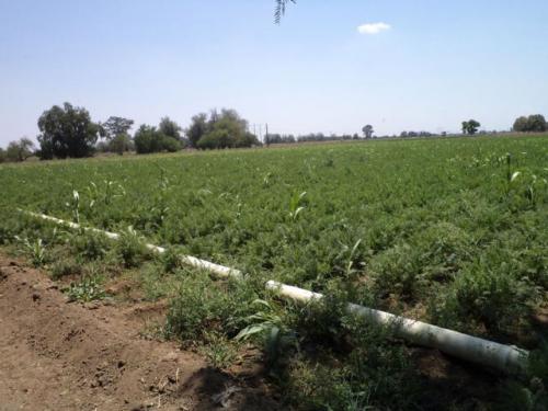 Se vende Rancho en Silao Gto.