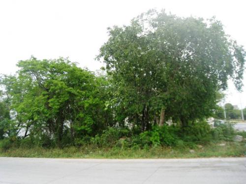 TERRENO DIAGONAL 75 NORTE - Terreno residencial en Playa del Carmen, Mexico