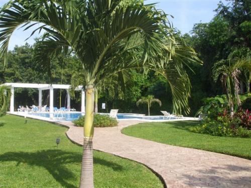 BONITO DEPARTAMENTO EN RENTA EN PLAYACAR