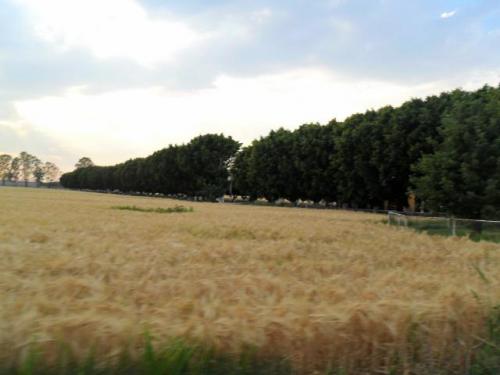 Se vende Rancho en Salamaca Gto.