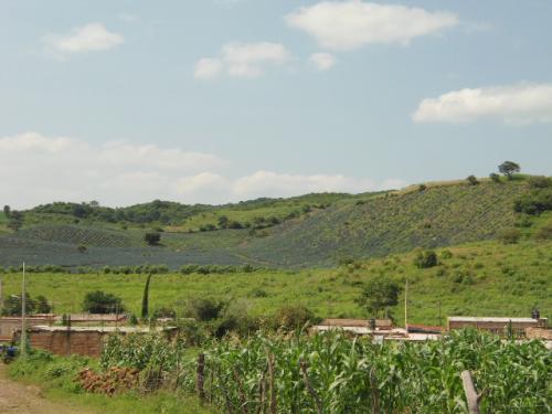 TERRENO EL ARENAL JALISCO