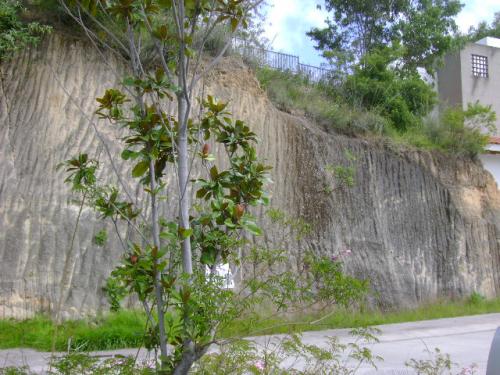 bosque real. magnifico terreno en venta