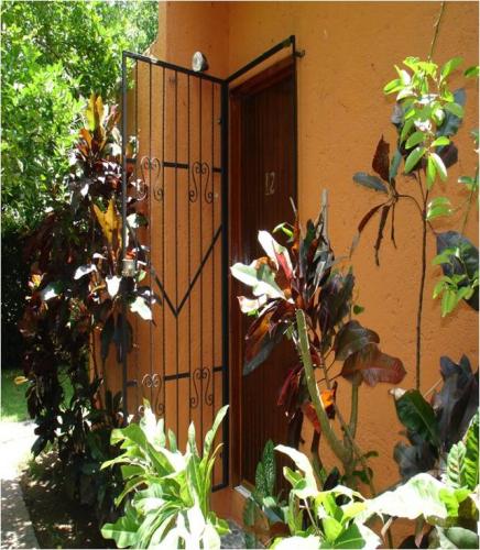 CASA EN IXTAPA ZIHUATANEJO CON ALBERCA