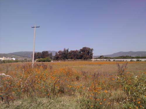 TERRENO IDEAL PARA INVERSIONISTAS POSIBLE USO DE SUELO H-4