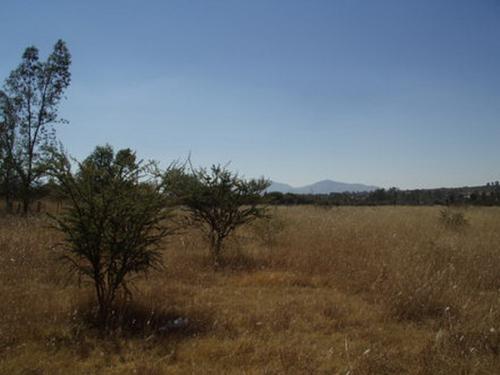 TERRENO EN VENTA CIENEGUILLA (LUMBRERAS) AGUASCALIENTES