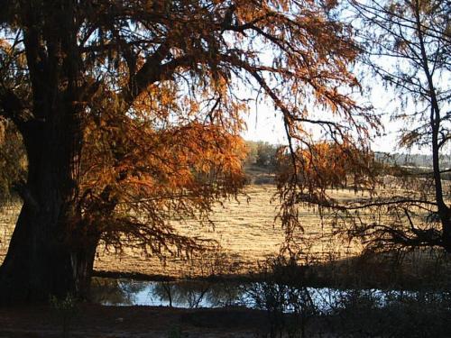 TERRENO CAMPSTRE CIENEGUILLA AGUASCALIENTES