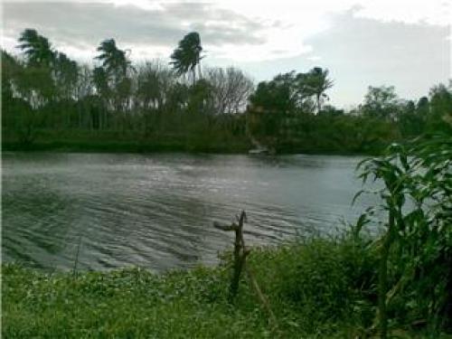 TERRENO EN VENTA A PIE DE RIO(PLAYA DE VACAS).