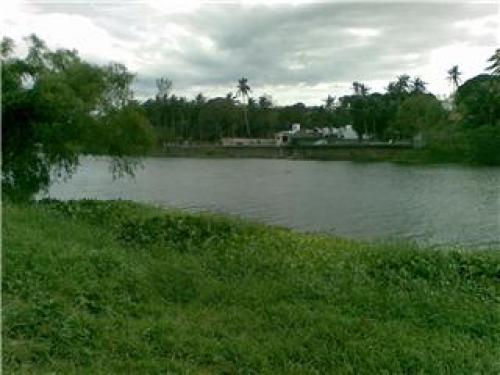  HERMOSO TERRENO VENTA FRENTE A RIO-TODO O EN PARTES.BOCA DEL RIO.