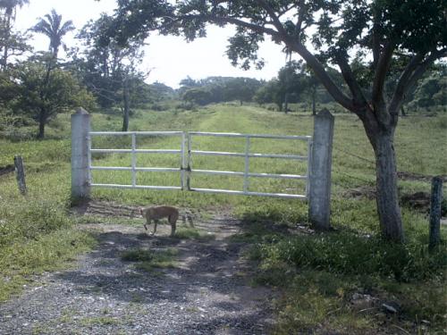 TERRENO VENTA CARRETERA VERACRUZ-CORDOBA.