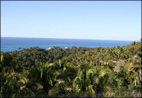 Magnificos terrenos residenciales con vista al Mar en San Pancho