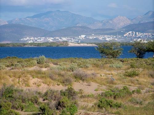 Oferta ! Terreno 7 has frente al mar en Ensenada de La Paz BCS