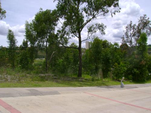 BOSQUE REAL TERRENO PLANO EN VENTA