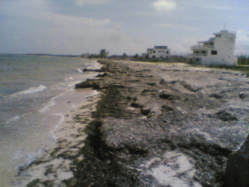 Cancun: Terreno con frente de playa en Petempich, Puerto Morelos