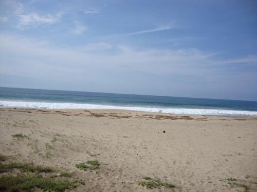 En venta 201 hectareas en zona de playas de Coatzacoalcos