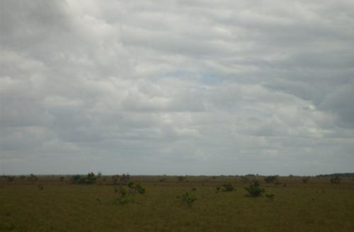 terreno de 900 hectáreas