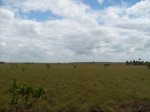terreno para degustadero