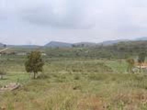 TERRENO EN VENTA FRACC. CAMPESTRE DEL VALLE