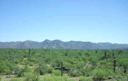 Terreno en venta 1,500 hectareas a $10,000 pesos mexicanos la hectarea 