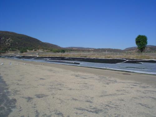 Terreno 1 Hectárea en Venta, El Bajío Zapopan