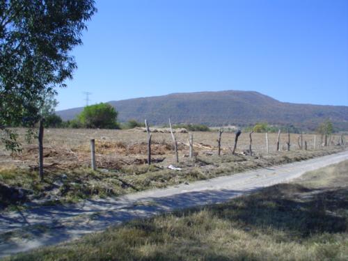 Terreno en Venta 2 Hectáreas Col. El Bajío, Zapopan