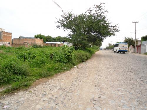 TERRENO EN VENTA AV. MASCOTA