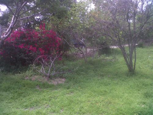 terreno para casa de descanso con abundante agua