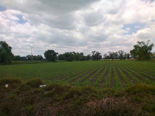 Teoloyucan terreno comercial mixto 13600m2