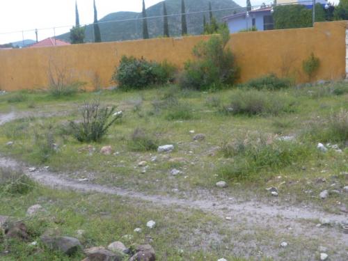 Excelente Terreno En San Juan del Río. Qro.