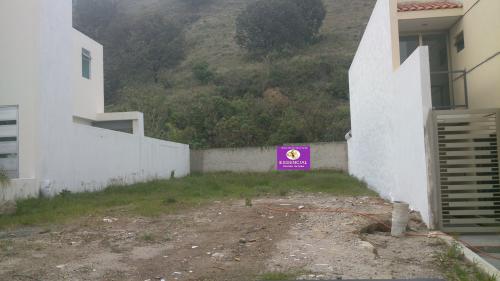 Terreno En Venta En Tlajomulco De Zuñiga , Bosques De Santa Anita 