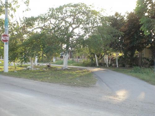 TERRENO DE 2010 MTS. AL NORTE DE MERIDA CONKAL